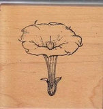 lily taylored Wood Mounted Rubber Stamp 2 x 2"  New