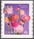 2023 Canada SC# Flowers - Ranunculus - single with black # - from Coil - M-NH