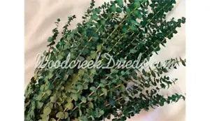 PRESERVED DYED WASHED DARK GREEN EUCALYPTUS FLORAL FOLIAGE FILLER FLOWER SCENTED