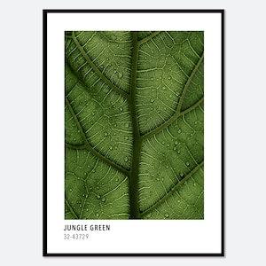 Jungle Green Color Card Inspired Art Print | Green Plant Photography Art Print, Leaf Botanical Art, Colorful Modern Poster #CC09