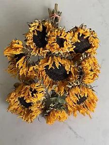 SUNFLOWERS * DRIED FLOWER Bunch BOUQUET Bundle ORANGE USA Grown Flowers Auc.#4