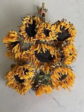 SUNFLOWERS * DRIED FLOWER Bunch BOUQUET Bundle ORANGE USA Grown Flowers Auc.#4