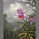 1883 - Hummingbird Perched on Orchid Plant by Martin Heade - Giclee Fine Art Print