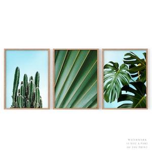 Monstera leaf print 3 set green wall art Tropical palm leaf Dine room decor Cactus print Palm leaves Succulent Green abstract Botanical