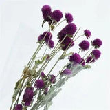Purple natural flower bouquets dried gomphrena bouquets 15pcs