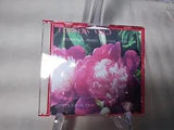 Flowers Vol 3 Hydranga, Peony, Petunia, Zinnia By Joyce Sieve CDA