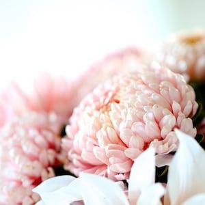 China Aster Janina Seeds  - Peony Aster - Callistephus chinensis - Annual Flower Seeds - Heirloom Flower