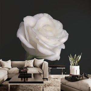 Black photo wallpaper with white rose | Self adhesive | Peel & Stick | Repositionable removable wallpaper