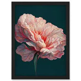 Pink Carnation Flower Bloom Detailed Framed Wall art Picture Print A3