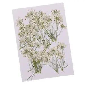 10pcs Flowers Pretty  for Resin Casting Embellishments Fillers