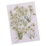 10pcs Flowers Pretty  for Resin Casting Embellishments Fillers