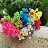 Dried Natural Little Flower Branch - Mini Star Flowers Bouquet Home Decoration