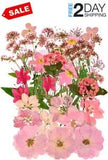 37pcs Natural Dried Flowers Mixed Multi-Color Pressed Flower Mini Rose Hydrangea