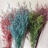Fresh Dried Herb Flowers Bouquet - DIY Preserved Grass Dancing Flower Home Decor
