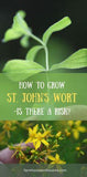 HOW TO GROW ST. JOHN??S WORT Flower Delivery