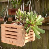 202. Salvaged Louisiana Baldcypress Wood Hanging Basket Planter for Orchids, Bromeliads, Ferns, Cacti, Other Epiphytes and Succulents