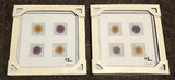 NEW - Lot Of 2, Pier 1 Imports Dried Floral Windowpane, 7-1/4??? X 7-1/4???