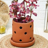 Handmade Terracotta Orchid Pot With Saucer, Orchid Planters with Holes, Elegant Pots, Indoor Pots , Orchid Planter, Unglazed Pottery, Gift