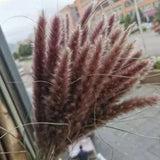 15pcs Natural Dried Pampas Grass Flowers Elegant Wedding Plants Home Decoration