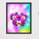 Framed Rainbow Unicorn Orchid Art Decor