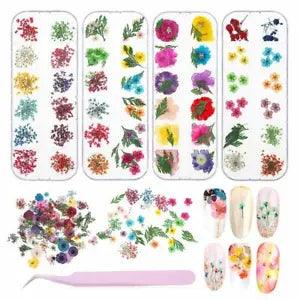 Real Beautiful Dry Flowers + Leaves Nail Art Tips Decoration Fashion Ornament US