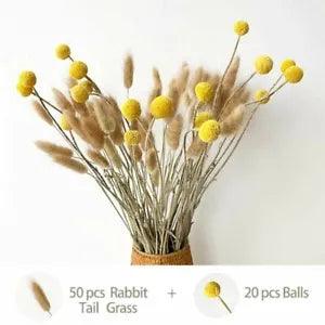 Natural dried flowers Lagurus Ovatus Rabbit Tail Grass billy-Ball flowers Eucaly