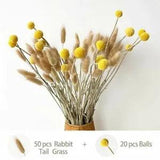 Natural dried flowers Lagurus Ovatus Rabbit Tail Grass billy-Ball flowers Eucaly