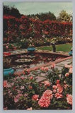 Postcard Oregon Portland Water Lily Pool Rose Arbor Lambert Gardens Chrome C544