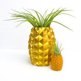 Pineapple Pot Plant Pot Planter