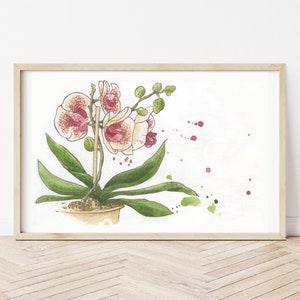 Watercolor orchid print, botanical print, plants and flowers, illustration, painting, wall decoration, watercolor