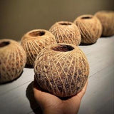 Kokedama Pots | Hanging Orchid Pot | Hanging Moss Ball Planter | Green Kokedama Ball