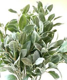 Lambs Ear Spray Artificial Greenery Sage Grey Green Flowers Foliage Leaves Stems