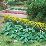 New MP SCENERY 40 Hostas 3/4" Tall Plantain Lilies Railroad Layout