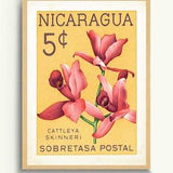 Vintage Botanical Wall Art Print, Floral Wall art, Tropical Art Print, Orchid plant, Nicaragua Art, Bathroom Wall Art, Latin and Spanish art