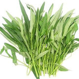 50 Water Spinach Seeds, Rau Muong, Water Kang, Kolmi Shak New