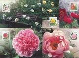Sweden 2001 Maxi Card no 172 - 176 - 5 Cards - Peonies - Peony Flowers