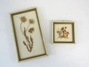 1963 Pair Framed German Democratic Republic GDR Zipfelhaus Dried Flower Art