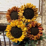 SUNFLOWER SPLENDOR Kit | Patchwork | Applique | Proddy