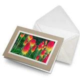 Greetings Card (Biege) - Red Hot Pokers Lily Flower Plant Garden  #24095