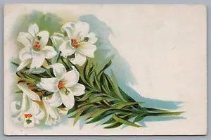 Bunch Of White Lilies Vintage Embossed Postcard