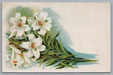 Bunch Of White Lilies Vintage Embossed Postcard