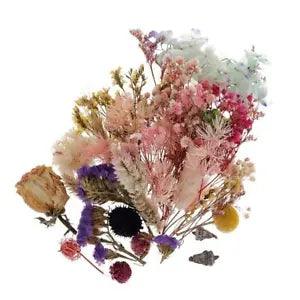 1 Set Real Dried Flowers Pressed Leaves  Casting  Art Crafts