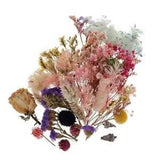 1 Set Real Dried Flowers Pressed Leaves  Casting  Art Crafts
