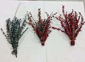 Dried Eucalyptus floral Branches Leaves bunch bouquet crafts red green