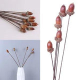 5PCS Natural Dried Flowers Acorns Fruits Branch Ornament Home Room Decoration