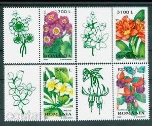2000 Bush lily,Plumeria,Fuchsia,Senecio,Flowers,plants,Romania,Mi.5478,TAB/L,MNH