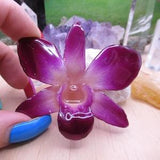 Real Orchid Flower Necklace - Purple/Natural. This is a REAL Orchid flower which has been preserved in resin making a unique necklace