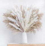 86 Pc Dried Pampas Grass Boho Home Decor Bouquet Flowers Floral Decorations