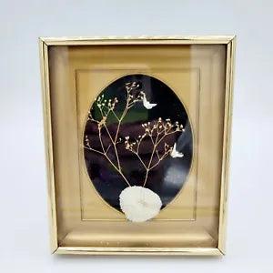 Vintage Glass Framed Dried Pressed Straw Flowers Shadow Box Black Backing Set