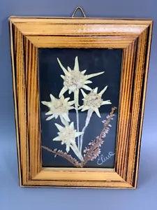 True Natural Mountain Flowers Herbarium Framed Signed